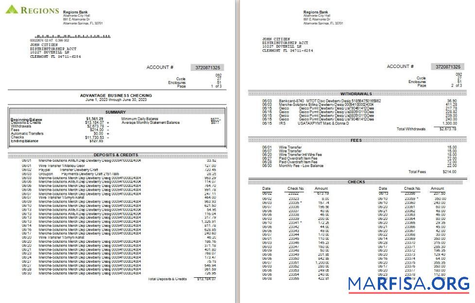 Printable USA Regions bank statement word 3 pages, version 2 sample